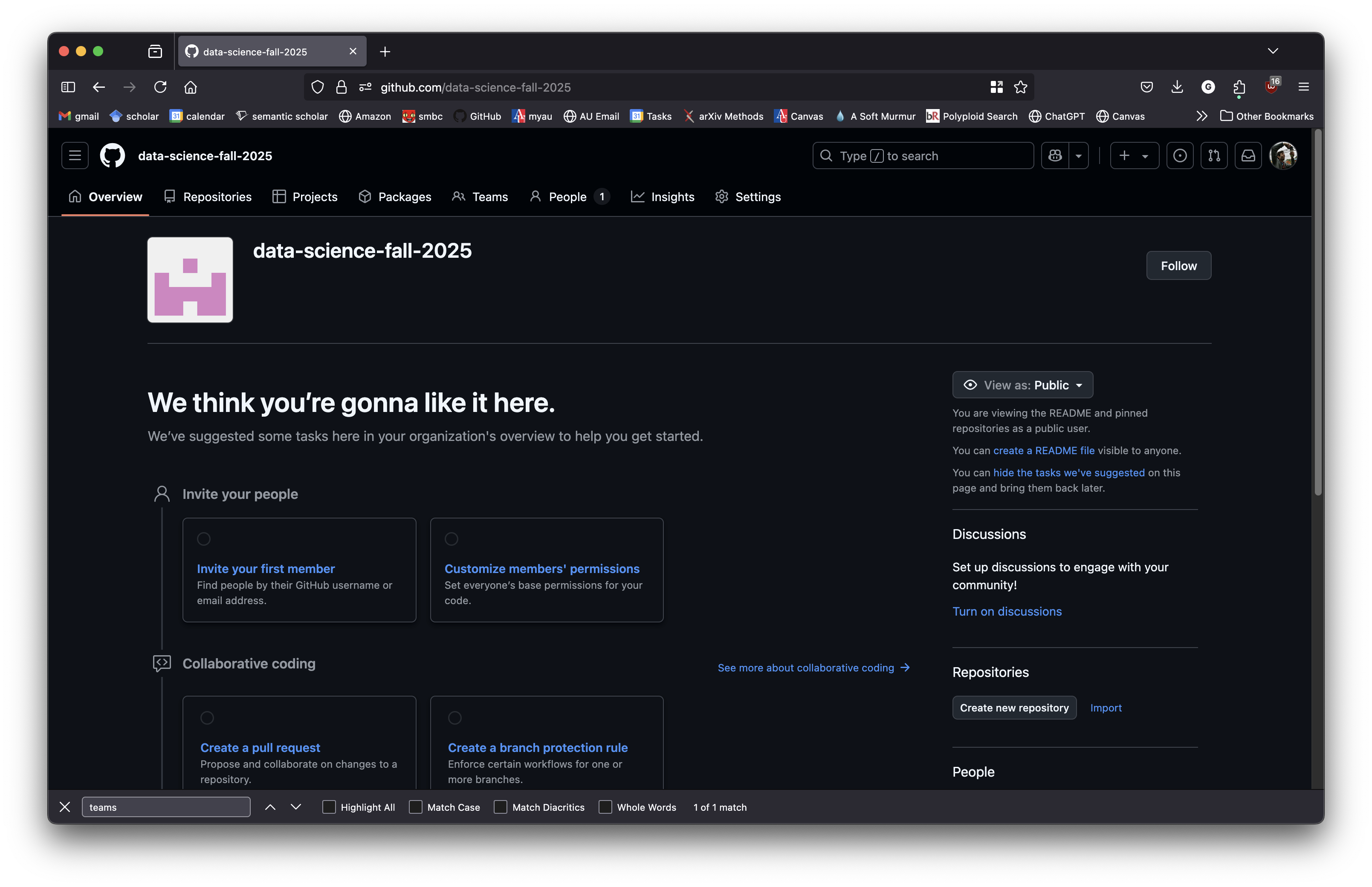Github Organization